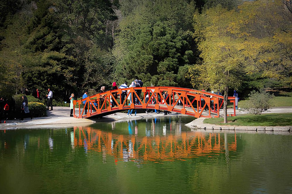 Tehran summer time shows in Tehran travel guide
