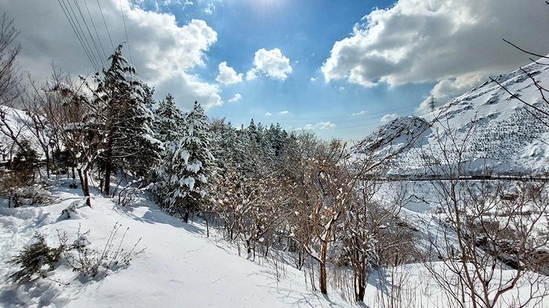Best time to visit Iran in winter